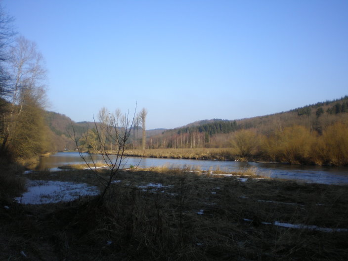bouillon 252.jpg